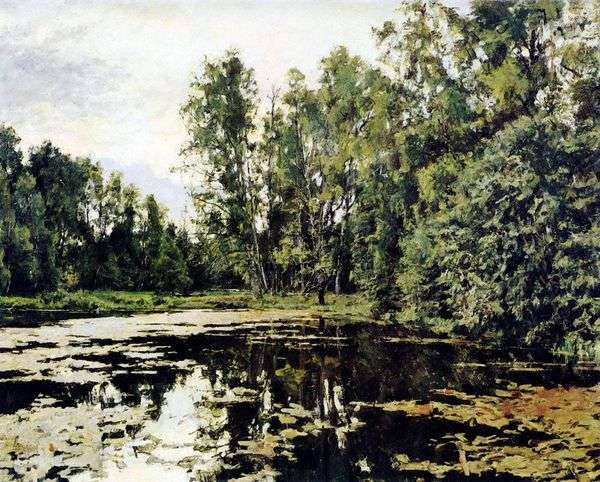 Serov V. A.   Domotkanovoの放棄された池