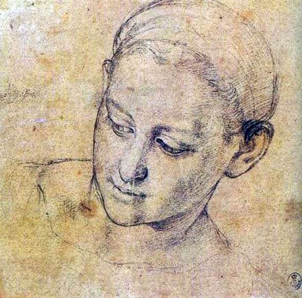 敬虔な女性の顔の研究   Agnolo Bronzino